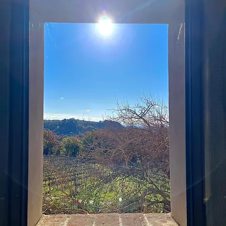 La Terrazza Di Trecento 몬테스페르톨리